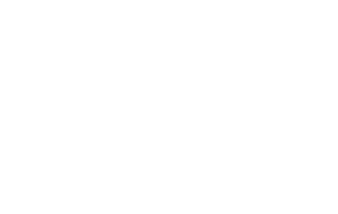 Chi Nails Chic